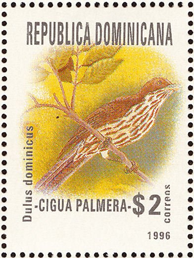 Dulus dominicus