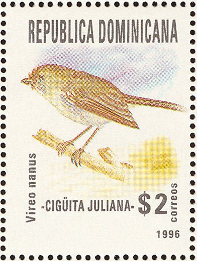 Vireo nanus