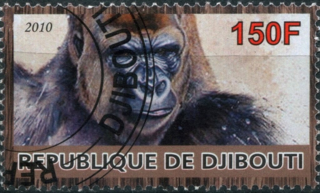 Monkey