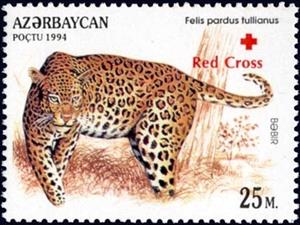 Stamp, Anatolian Leopard (Panthera pardus tulliana), Azerbaijan,  , Animals (Fauna), Cats of Prey, Leopards, Mammals, Red Cross and Red Crescent