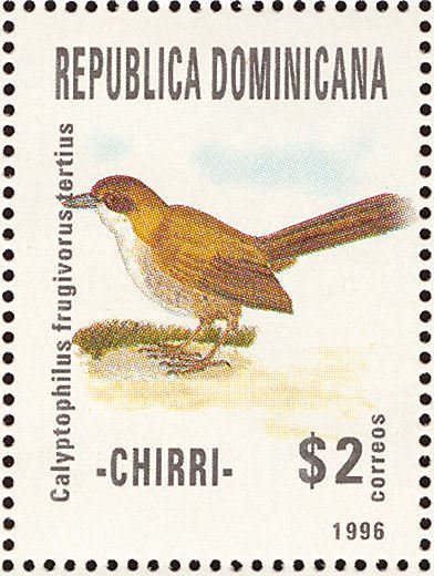 Calyptophylus frugivorus tertius