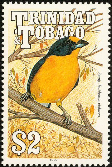 Violaceous Euphonia (Euphonia violacea)
