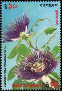 Stamp, Passiflora incarnata, Bangladesh,  , Flowers