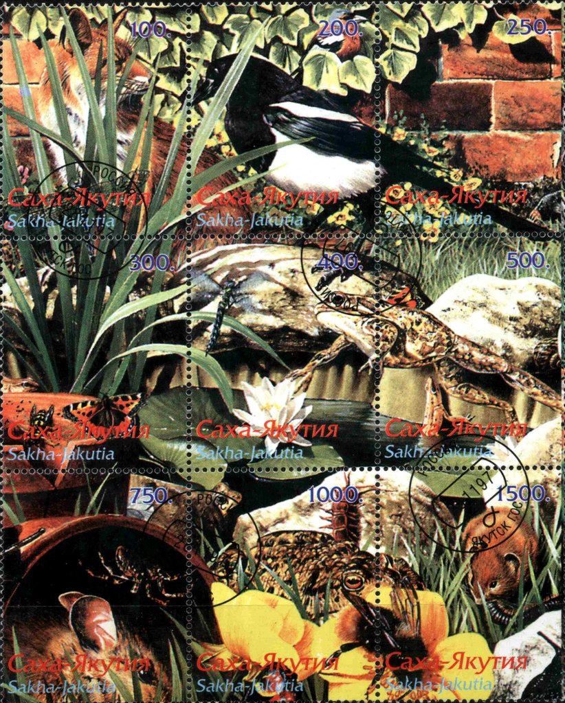 Fauna
