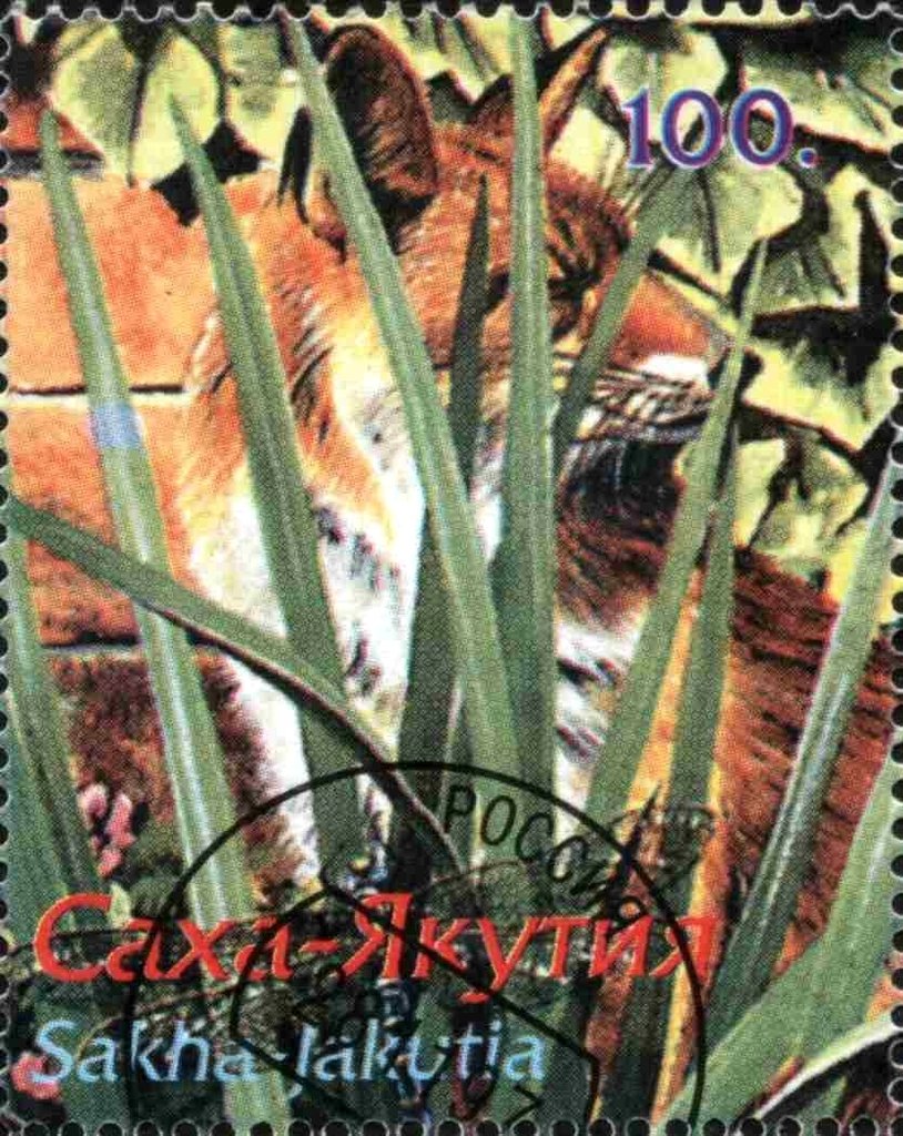 Fauna