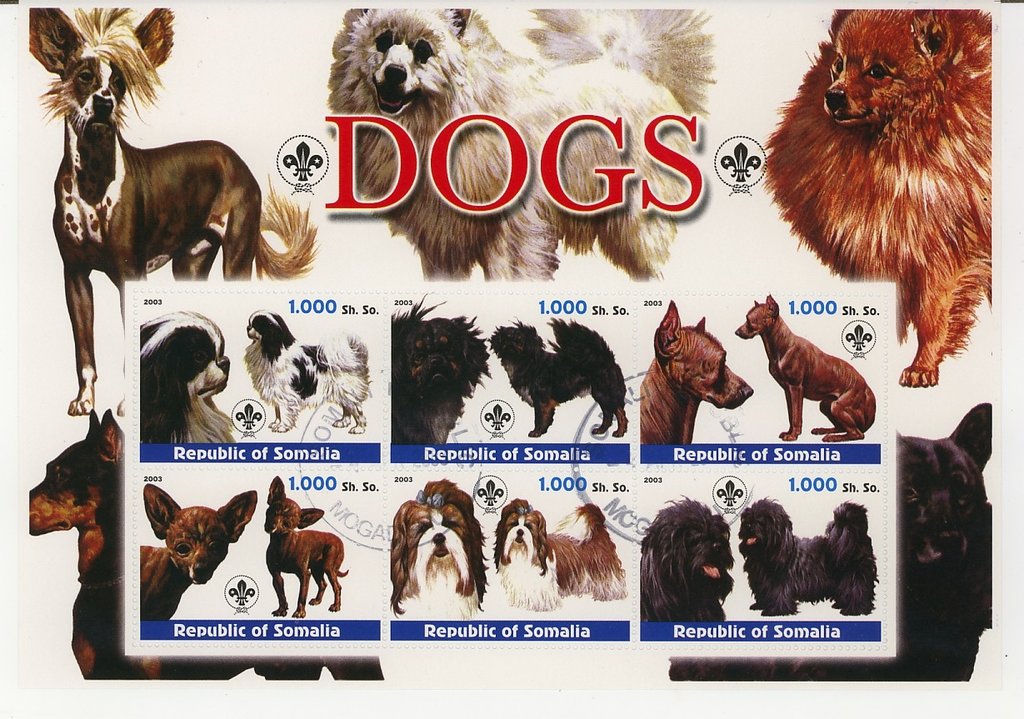 Dogs