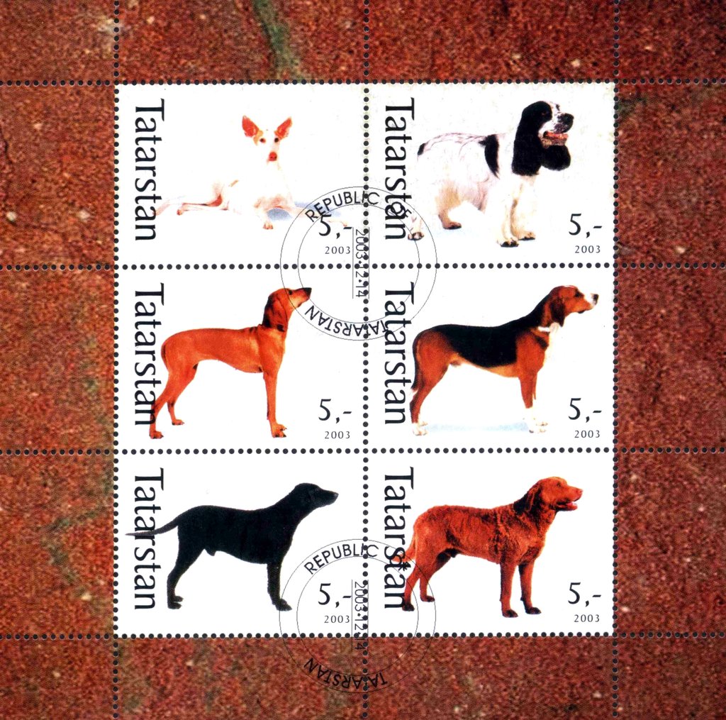 Dogs