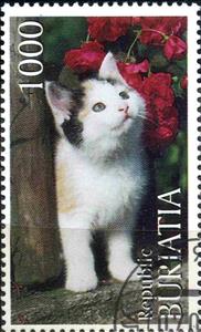 Stamp, Cats, Cinderellas,  , Cats