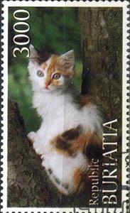 Stamp, Cats, Cinderellas,  , Cats