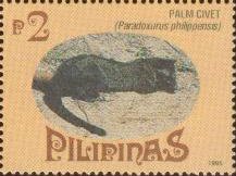 Asian Palm Civet (Paradoxurus philippensis)