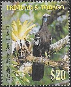 Trinidad piping guan