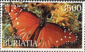 Stamp, Dariaus gilippus, Cinderellas,  , Butterflies