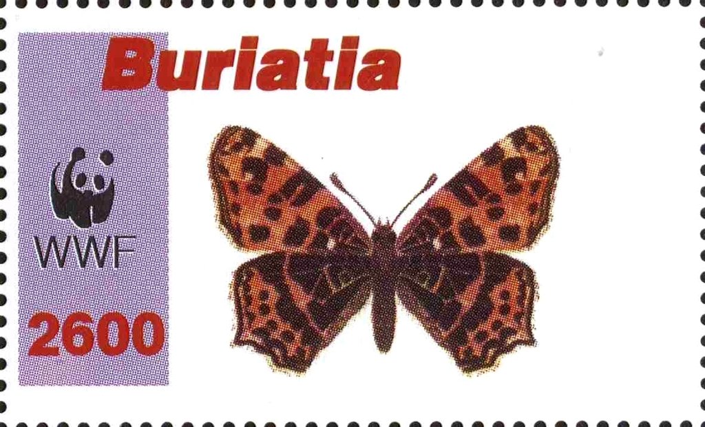 Butterflies