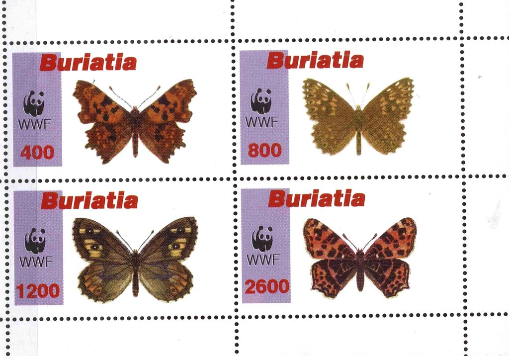 Butterflies