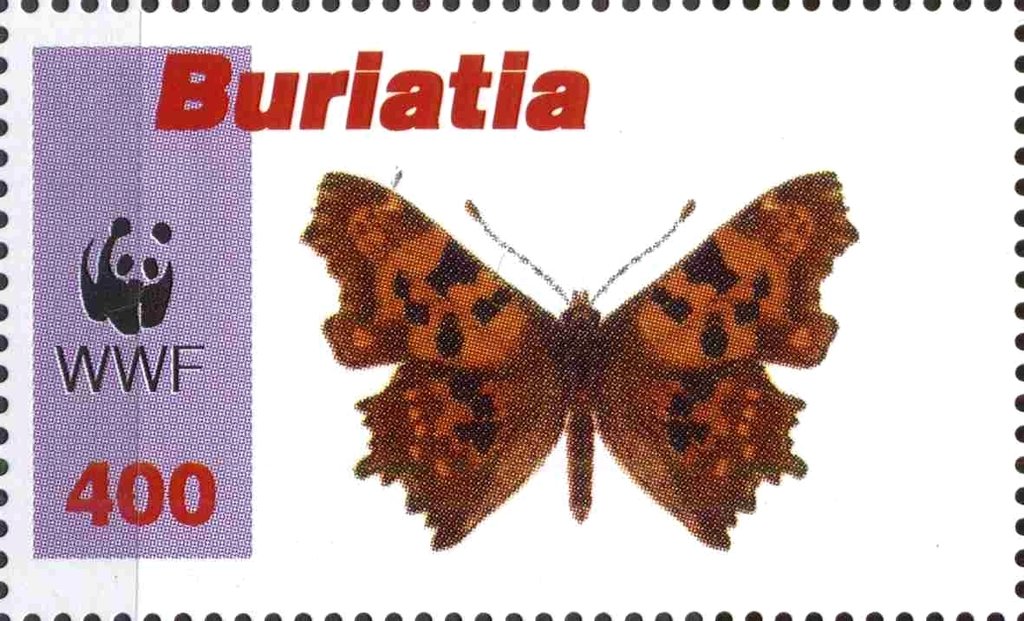 Butterflies