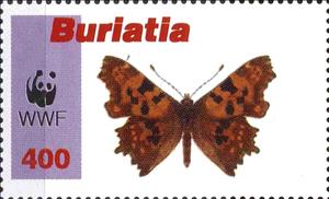 Stamp, Butterflies, Cinderellas,  , Butterflies