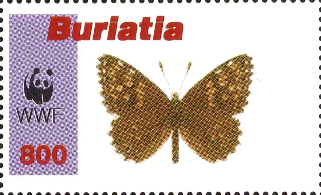 Butterflies