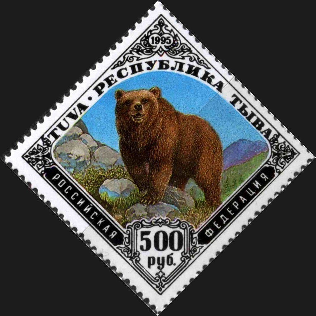 Bear