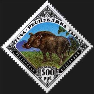 Stamp, Boar, Cinderellas,  