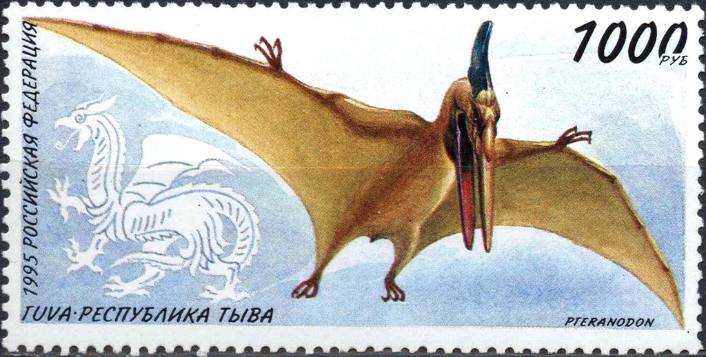 Pteranodon