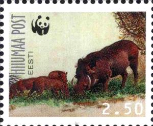 Stamp, World Wide Found for Nature, Cinderellas,  , Pigs, WWF