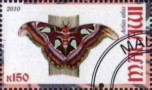 Stamp, Actias atlas, Cinderellas,  , Butterflies, Insects