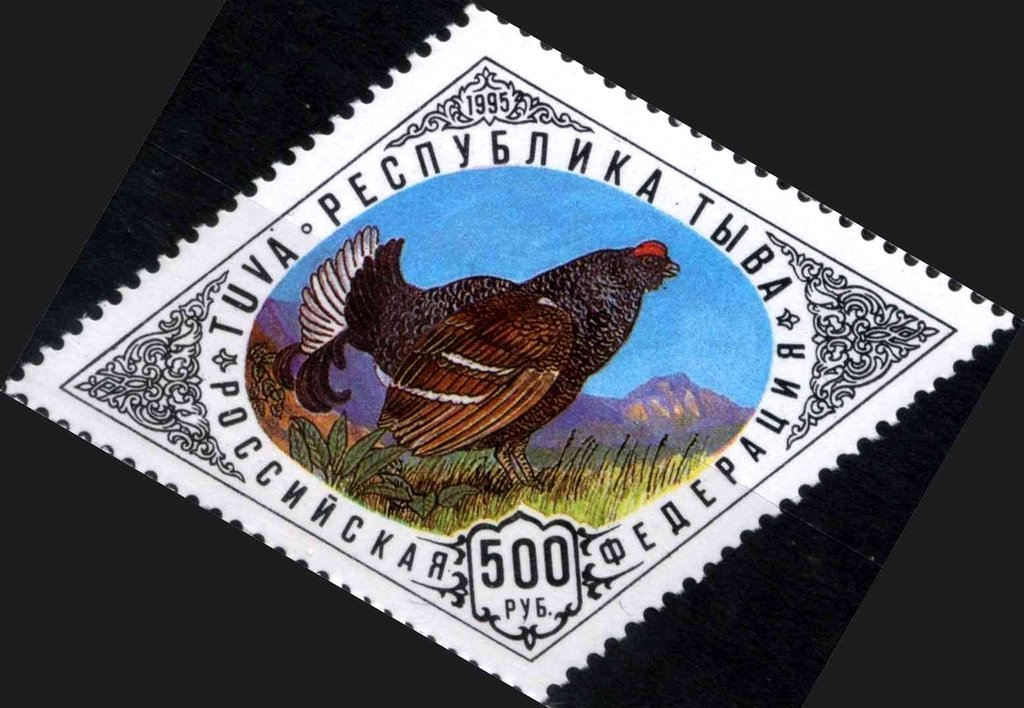 Bird