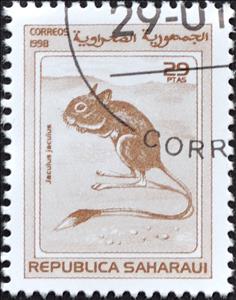 Stamp, Lesser Egyptian jerboa (Jaculus jaculus), Cinderellas,  , Animals (Fauna)
