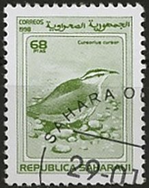 Stamp, Cream-coloured Courser (Cursorius cursor), Cinderellas,  , Birds