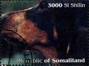 Stamp, Dog, Cinderellas,  , Dogs