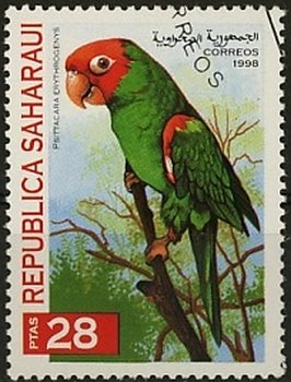 Stamp, Parrots, Cinderellas,  , Birds, Parrots