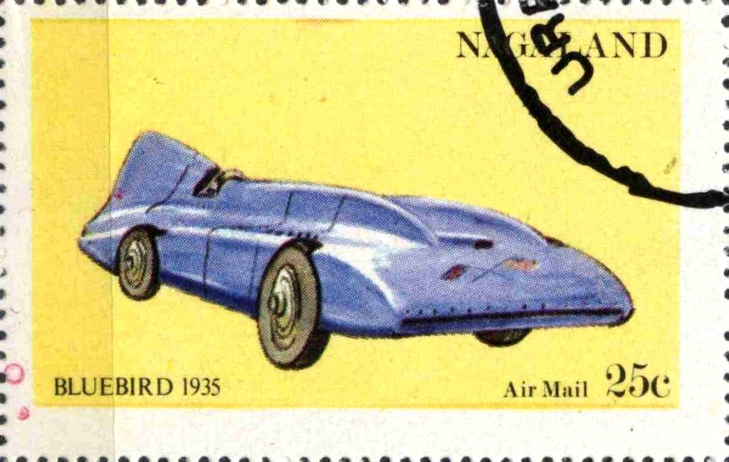 Bluebird