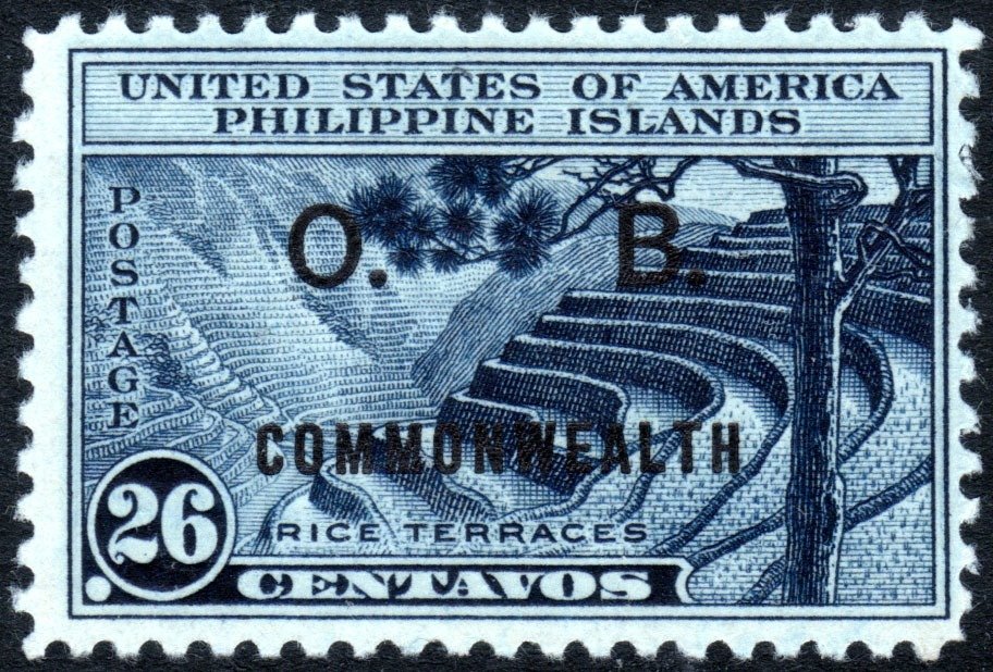 Rice terraces