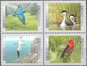 Birds