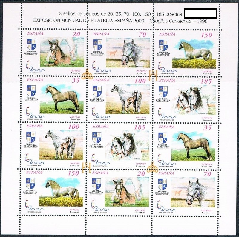 Carthusian Horse (Equus ferus caballus)