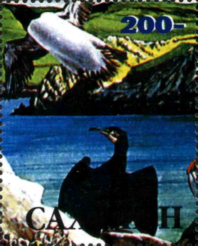 Fauna Marine