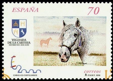 Carthusian Horse (Equus ferus caballus)