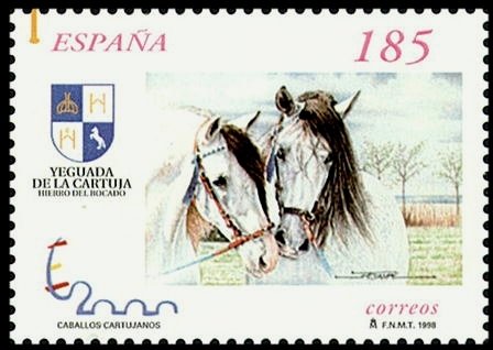 Carthusian Horse (Equus ferus caballus)