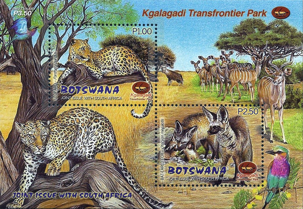 Kgalagadi Transfrontier Wildlife Park