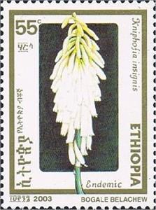 Stamp, Kniphofia insignis, Ethiopia,  , Flowers, Plants (Flora)