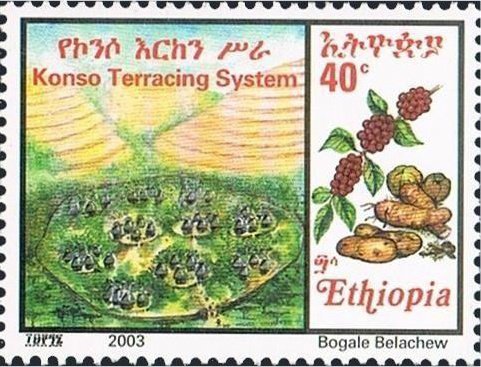 Konso terracing system