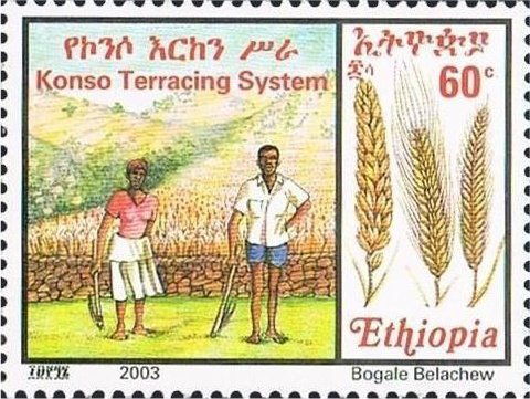 Konso terracing system