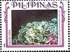 Stamp, Elephant Skin Coral (Pachyseris valenciennesi), Philippines,  , Corals and Sponges, Sea Life