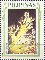Pulsating Xenid (Heteroxenia fuscescens)