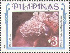 Smal Crested Soft Coral (Xenia puertogalerae)