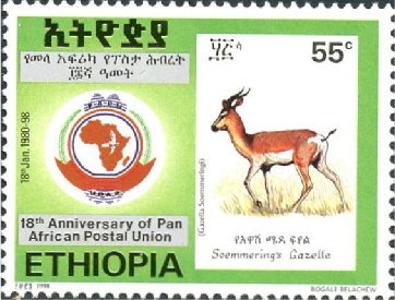 Soemmering’s gazelle