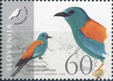 Fauna of Slovenia - Endangered bird species (Roller)
