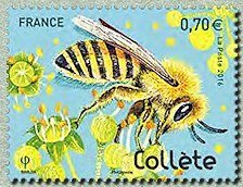 Colléte