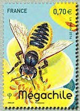 Mégachille