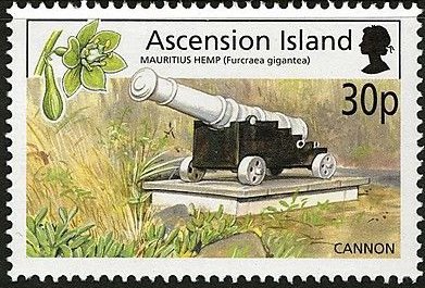 Cannon